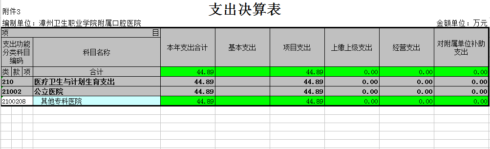 支出决算表