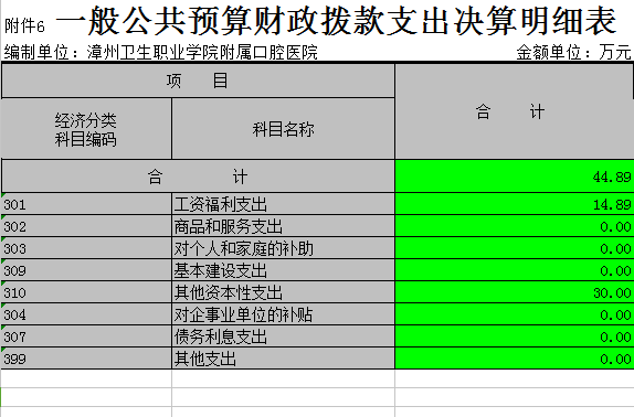 一般公共预算财政拨款支出决算明细表